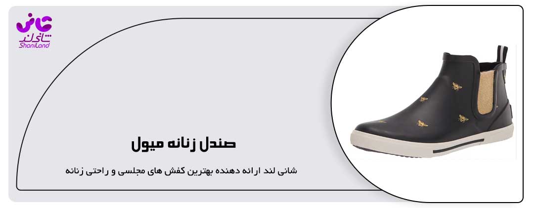 چکمه ولینگتون